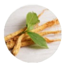 Panax Ginseng